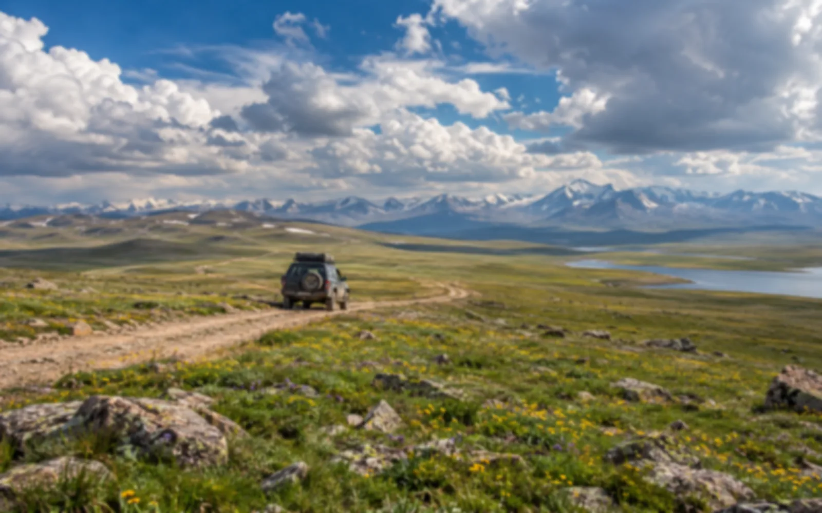 Deosai plateau in summer